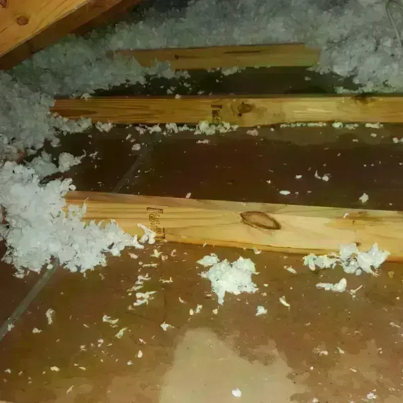 Attic Water Damage in Bunkie, LA