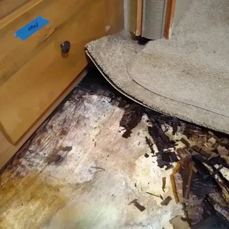 Wood Floor Water Damage in Bunkie, LA